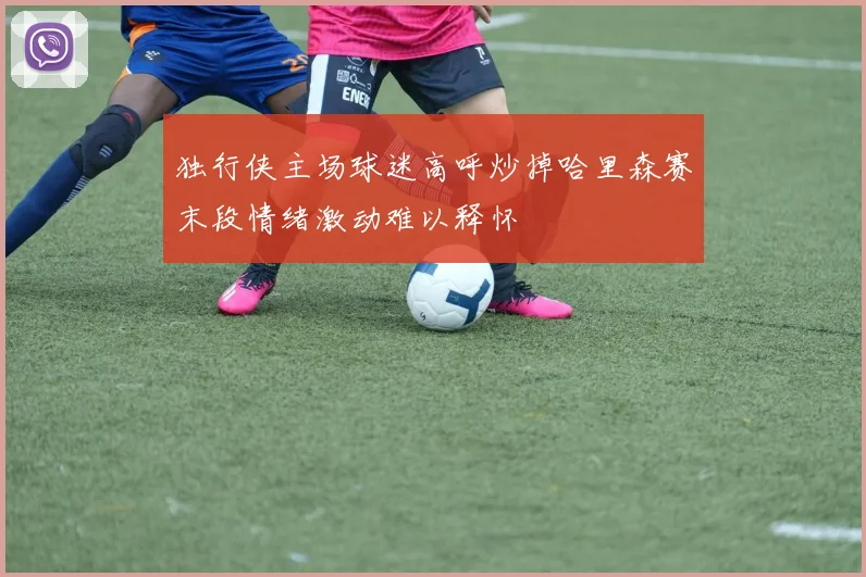 独行侠主场球迷高呼炒掉哈里森赛末段情绪激动难以释怀