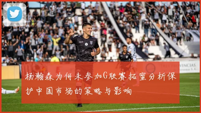 杨瀚森为何未参加G联赛拓蜜分析保护中国市场的策略与影响