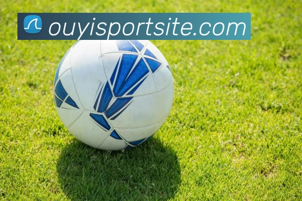 App Interface Preview