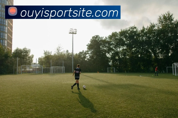 欧亿体育APP 封面图